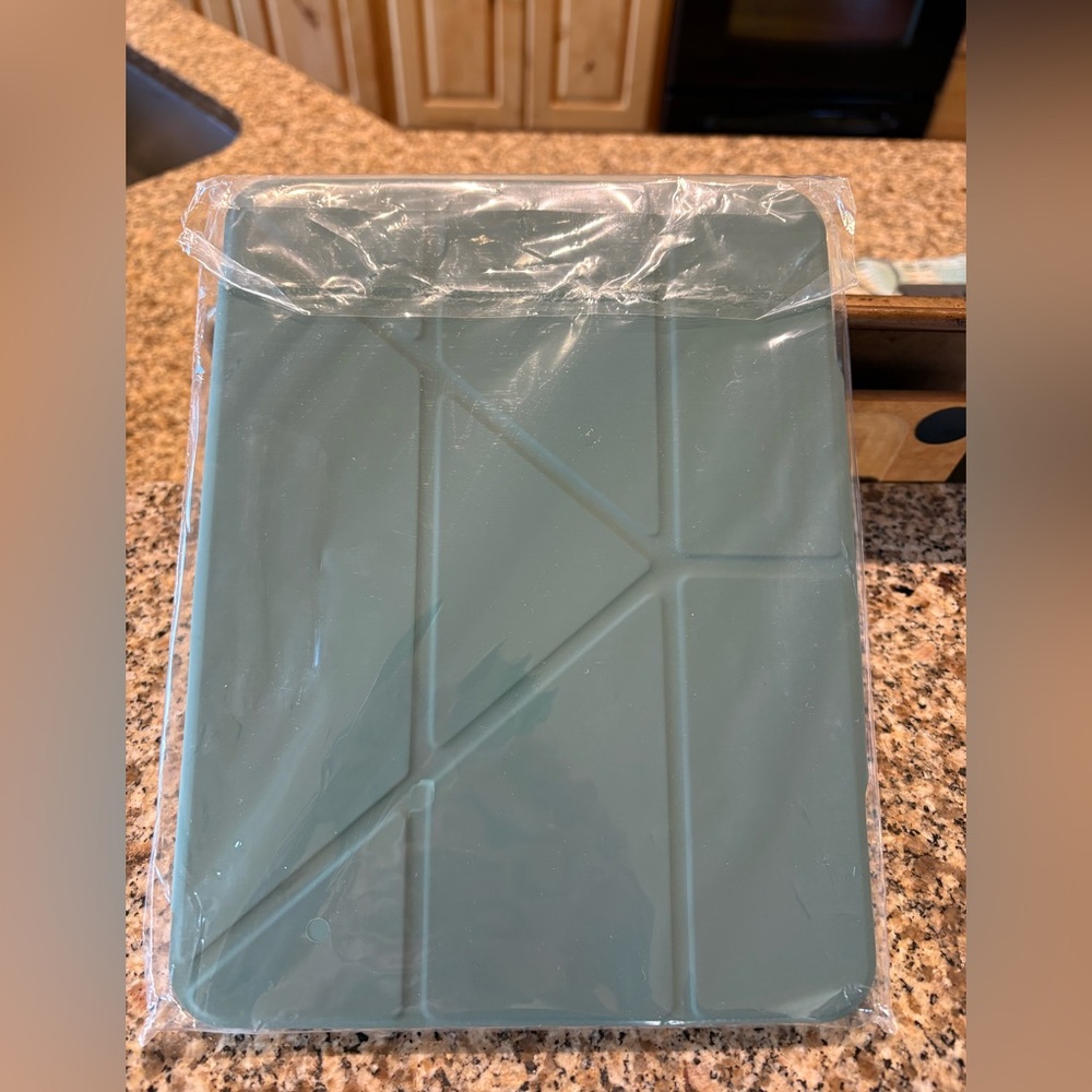 Origami style case for new iPad in sage green. Clear back, magnetic clasp